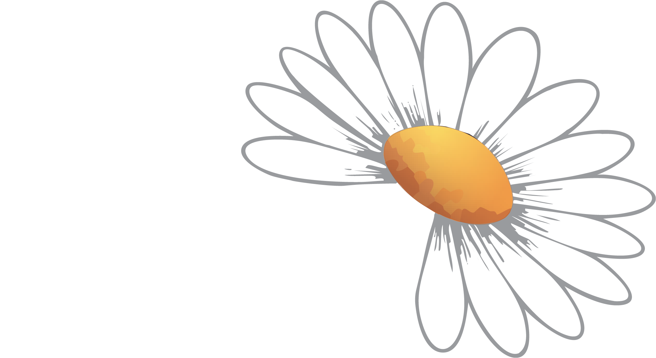 Aucina